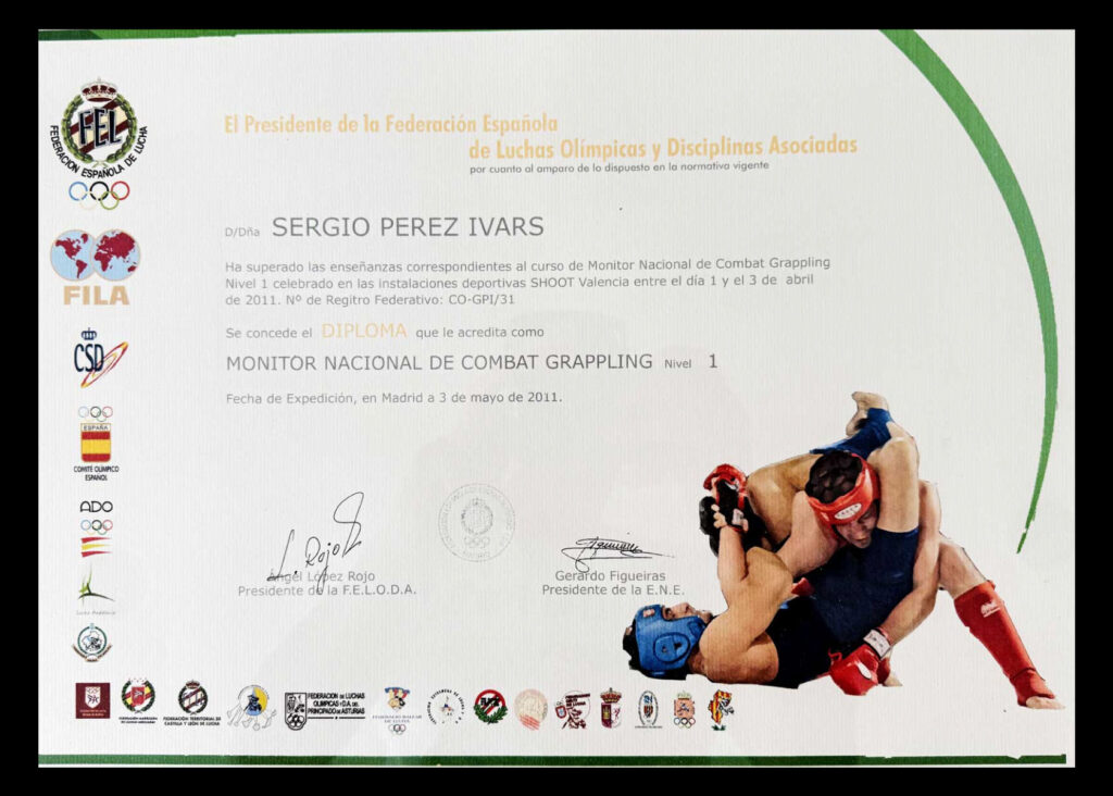 titulo sergio 01
